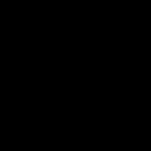 Meet your Posher, Monique